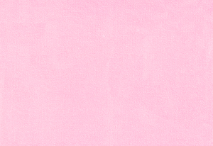 ROSA-22