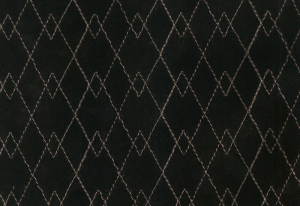 NEGRO-13