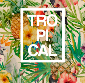 Tendencia Tropical